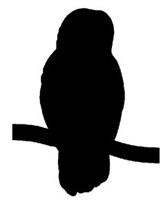 Owl Silhouette Template - ClipArt Best