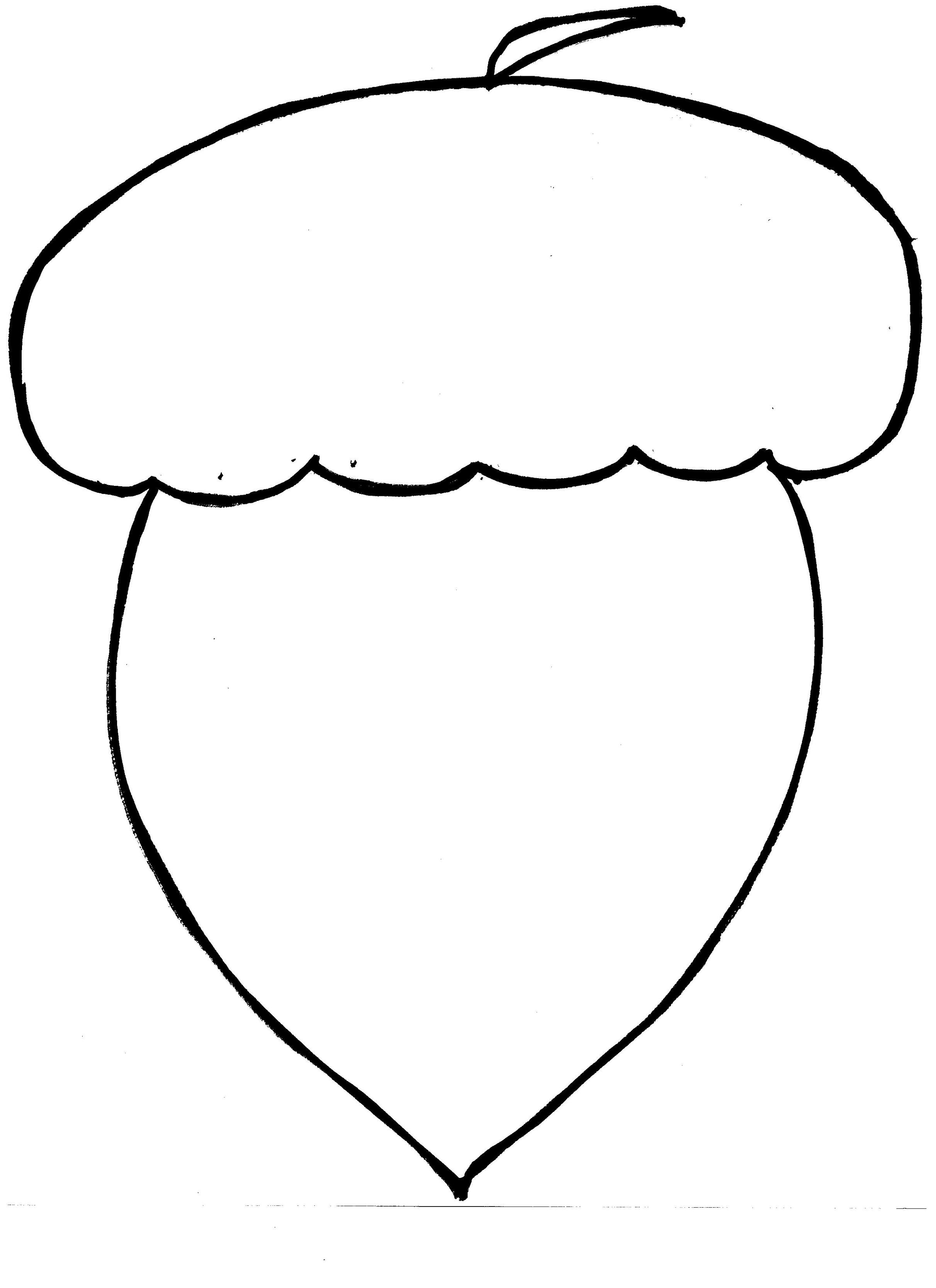 Acorn Drawing Clipart - Free to use Clip Art Resource