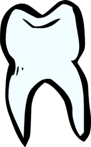 Tooth clip art - vector clip art online, royalty free & public domain