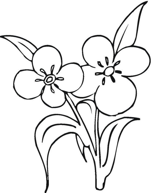 Flowers coloring pages color printing Flower Coloring pages