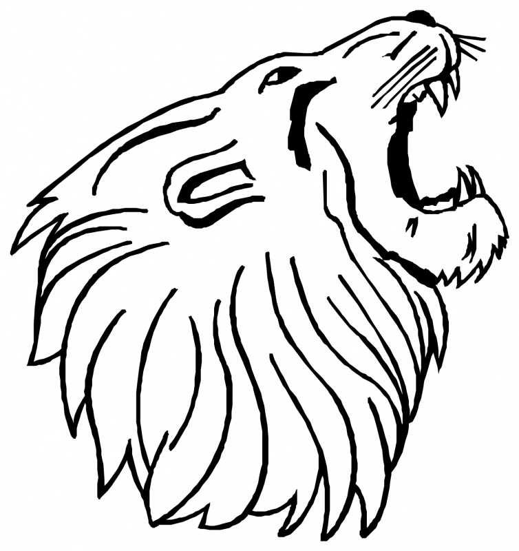 Drawings Of Lions Heads - ClipArt Best