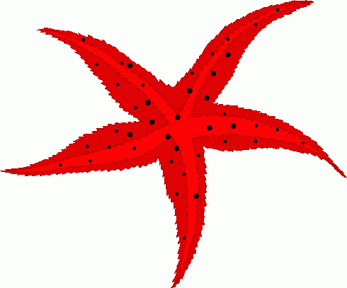 starfish_1 clipart - starfish_1 clip art