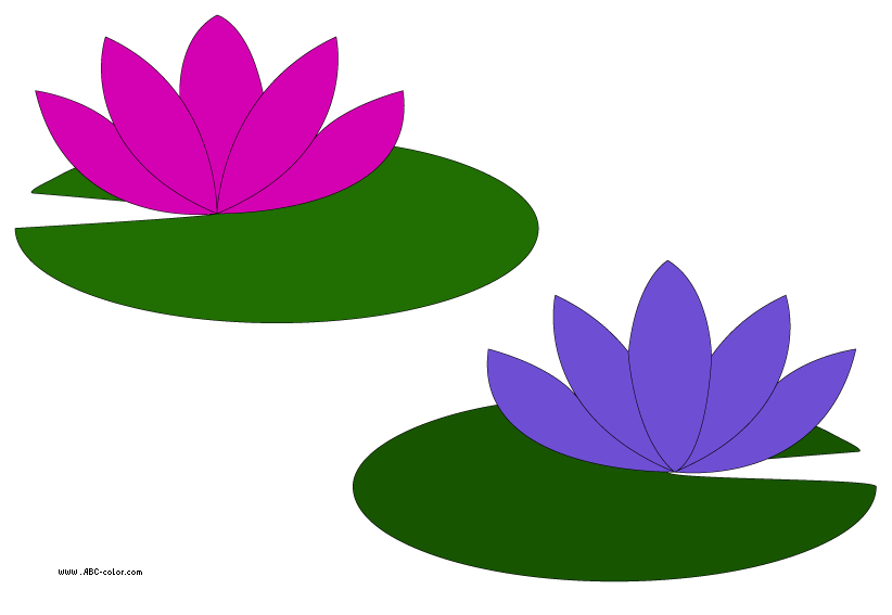 Lily pad pond clipart - ClipArt Best - ClipArt Best