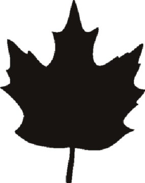 Maple Leaf Stencil Clipart - Free to use Clip Art Resource