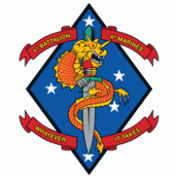3rd Battalion 4th Marine Regiment USMC | Brands of the World ...