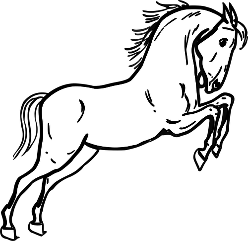 Jumping horse vector image | Public domain vectors