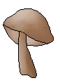 Mushroom Clip Art - Brown and Tan Mushrooms - Free Mushroom Clip ...