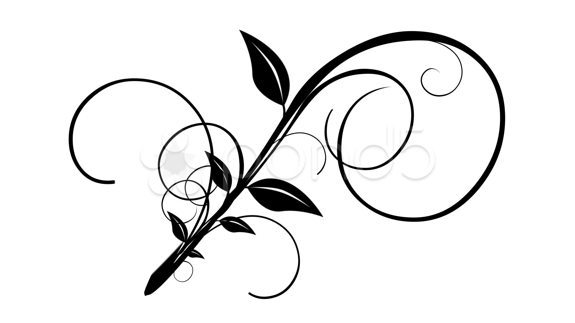 leaf vine clip art - photo #30