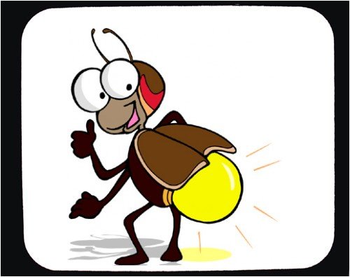 Firefly Insect Cartoon