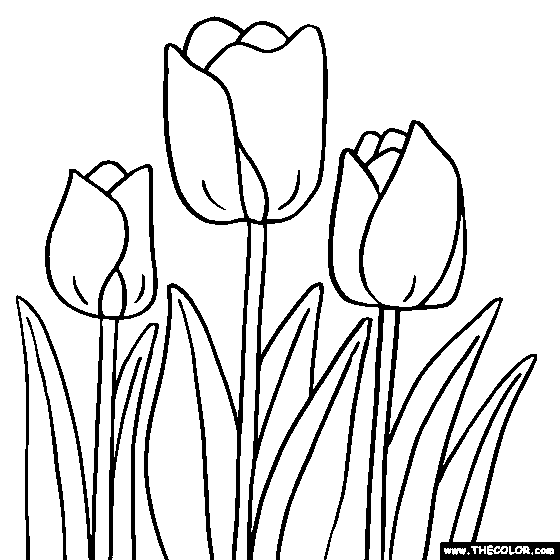 Featured image of post Flower Tulip Coloring Pages