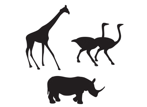 Giraffe Rhino & Ostrich Vector Drawing free vector animal ...