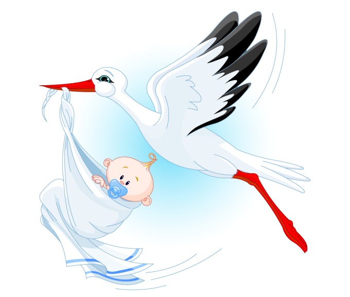 Stork Carrying a Baby Vector