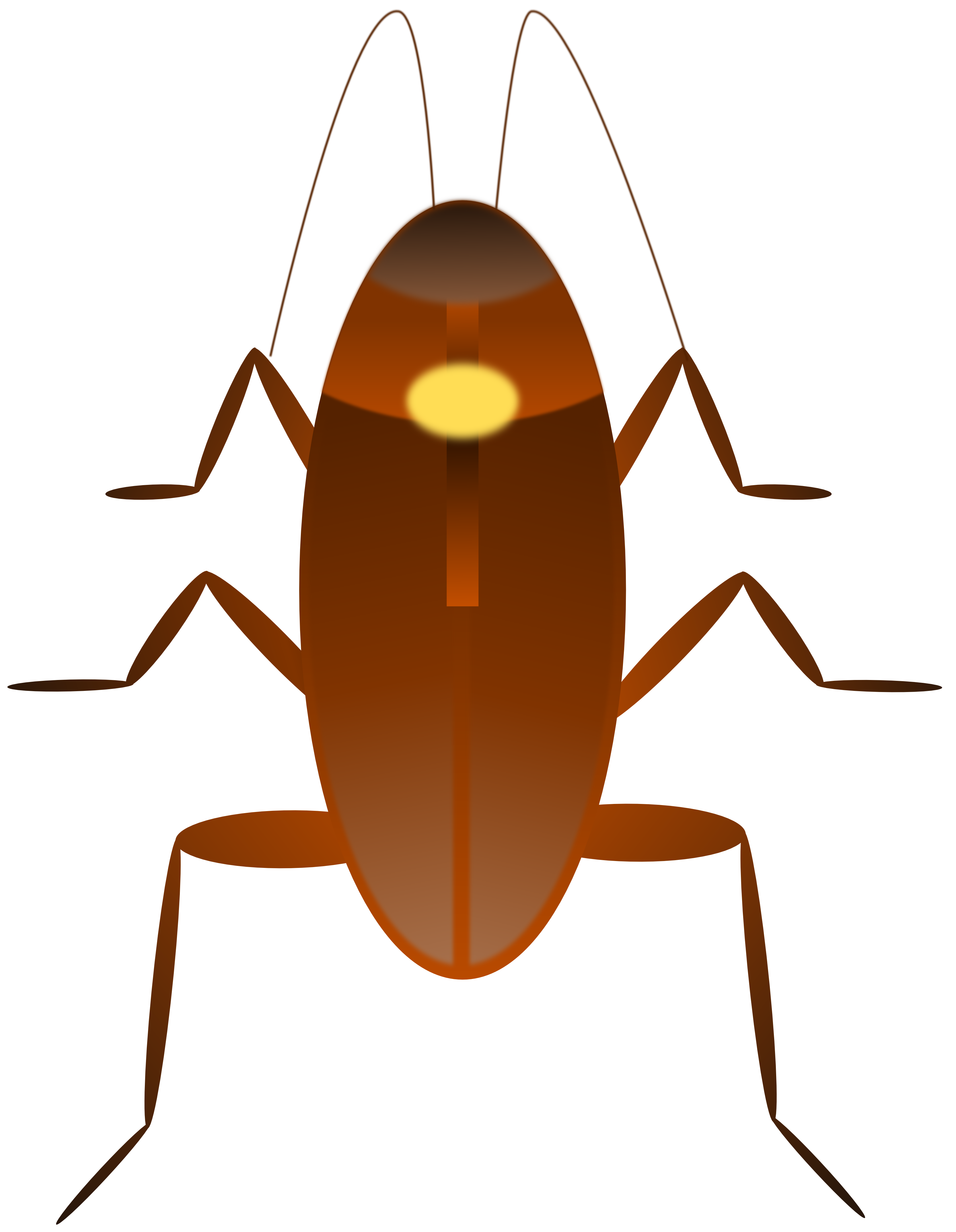 Clipart cockroach