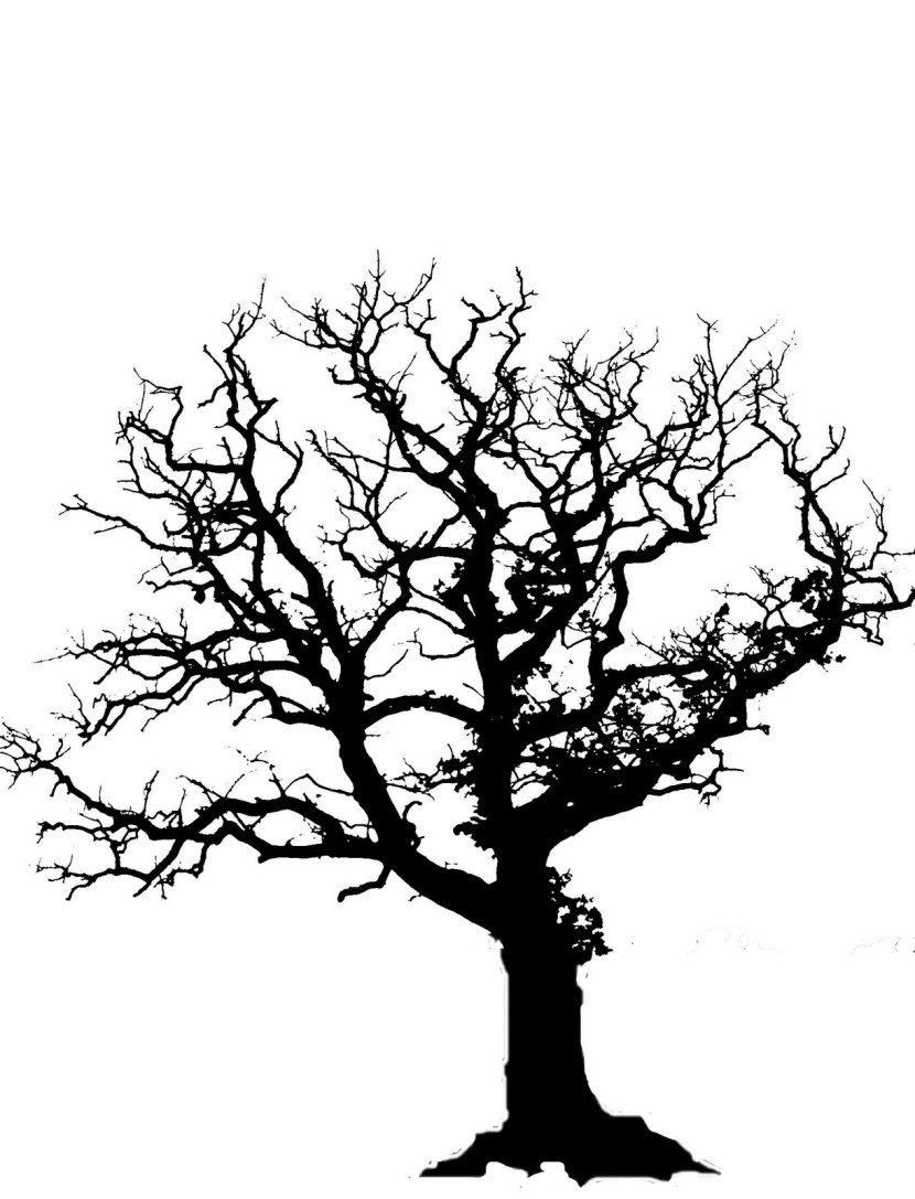 Oak Tree Silhouette - Clipartion.com