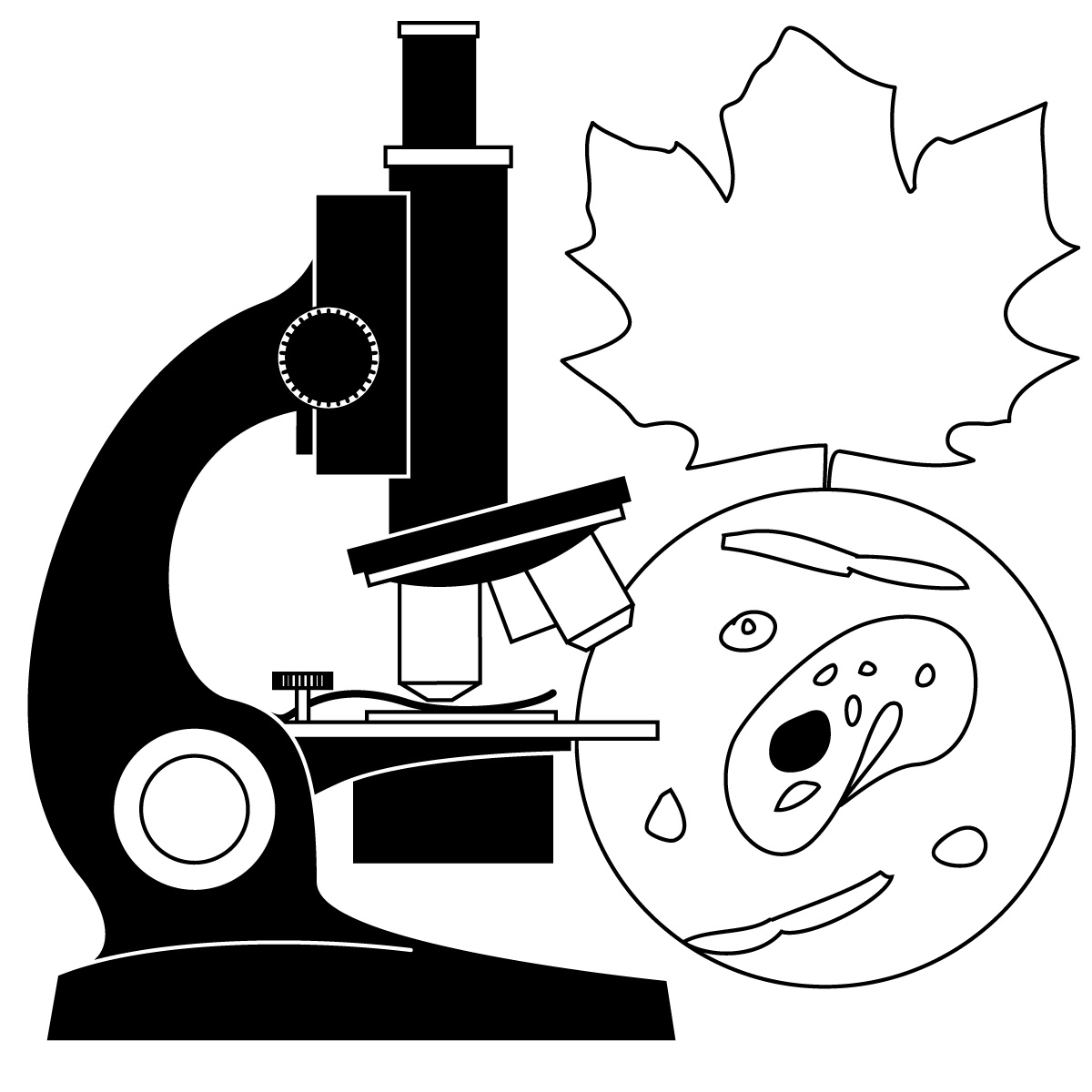 free black and white clip art science - photo #12
