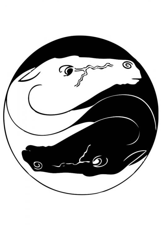 Yin Yang Coloring Sheets - Reinanco