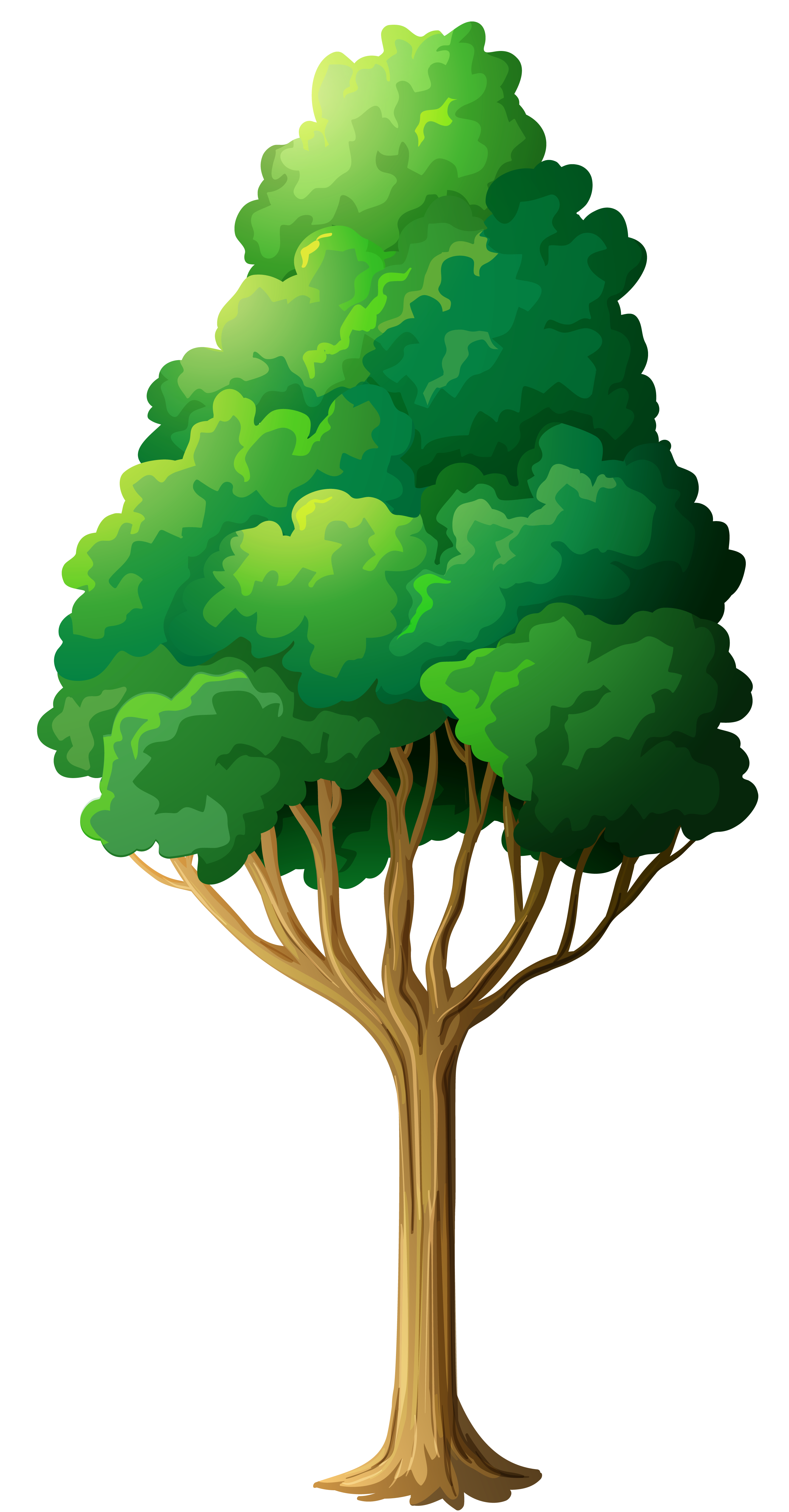 tree clipart picture - photo #19