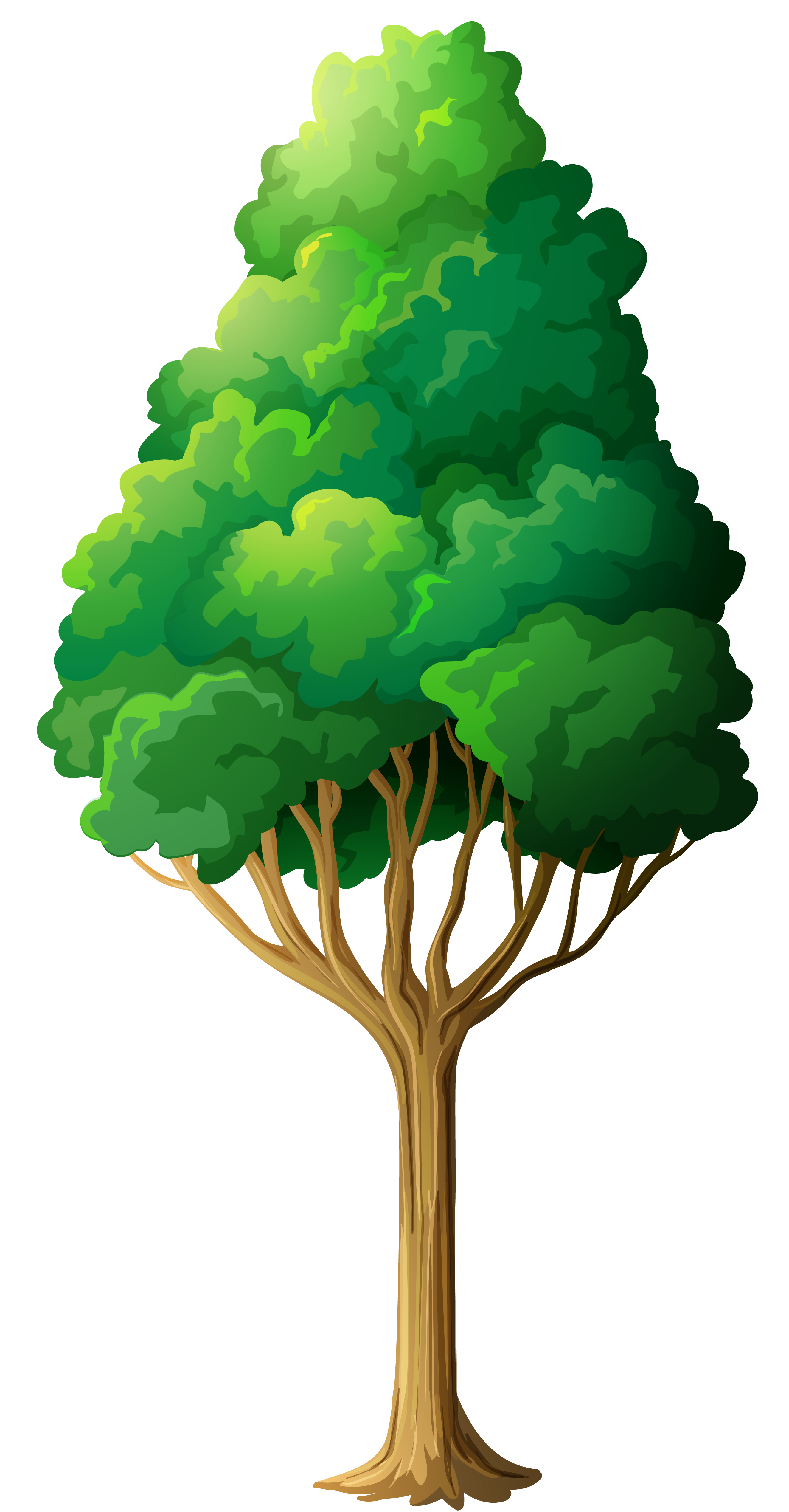 Green Tree PNG Clipart