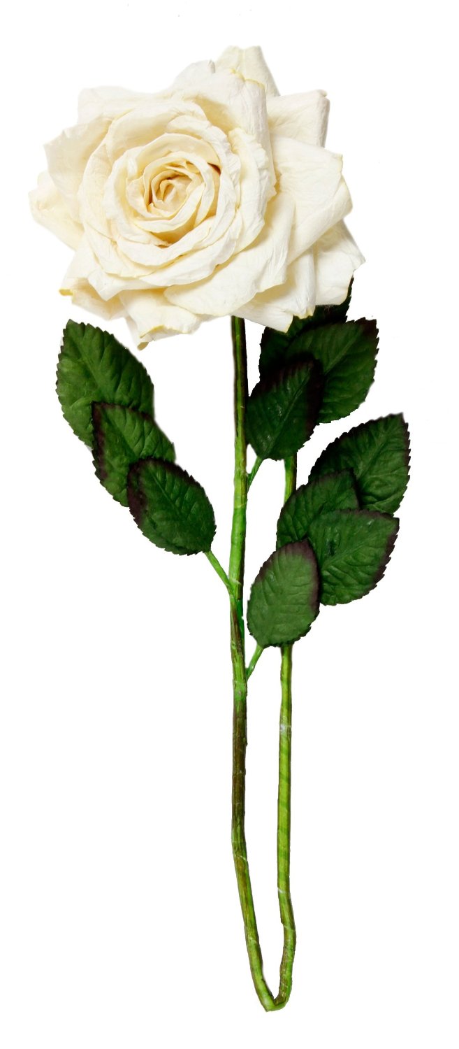 clipart long stem roses - photo #24