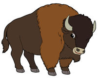 Cute brown buffalo clipart - ClipartFox