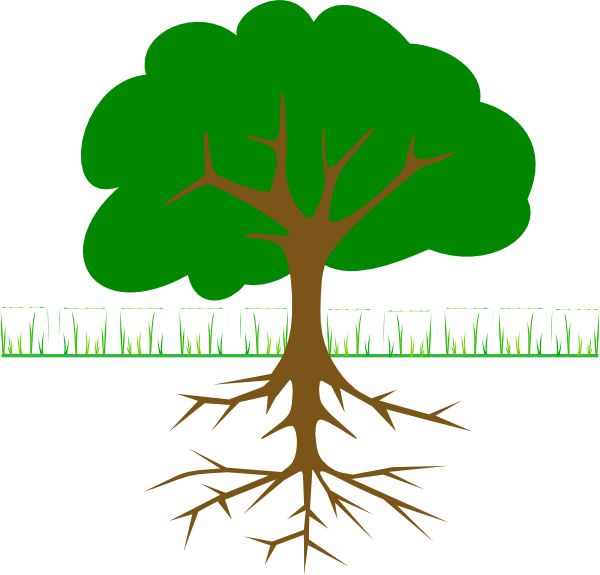 Tree clipart roots