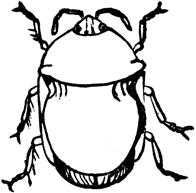 Clipart bugs black and white - ClipartFox