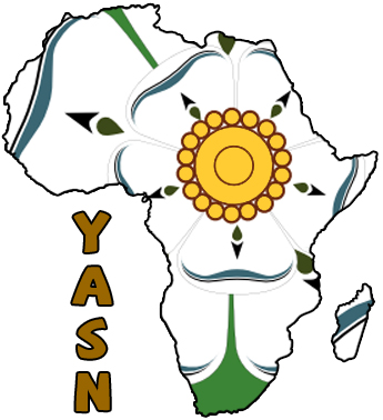 YASN Culture and Politics in Africa Workshop at the University of ...