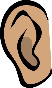 Human ears clipart for kids