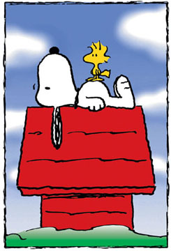 Snoopy Optimism Quotes