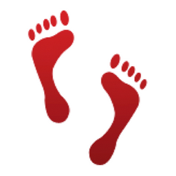 ð??£ Footprints Emoji (U+1F463/U+E536)