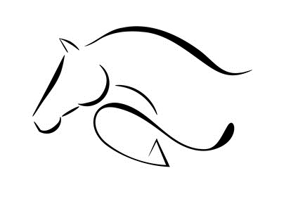EQUINE GRAPHIC DESIGN