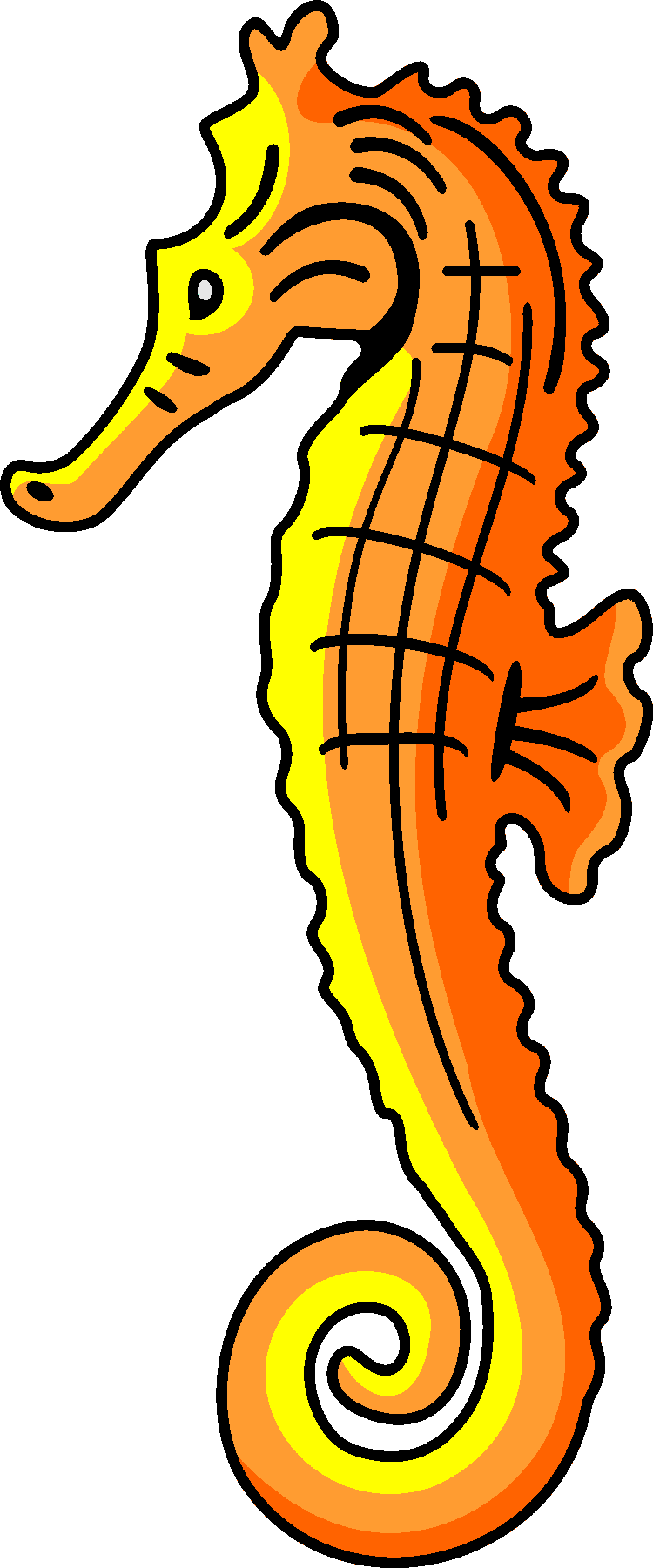 Seahorse on seahorses seahorse drawing and seahorse clip art ...