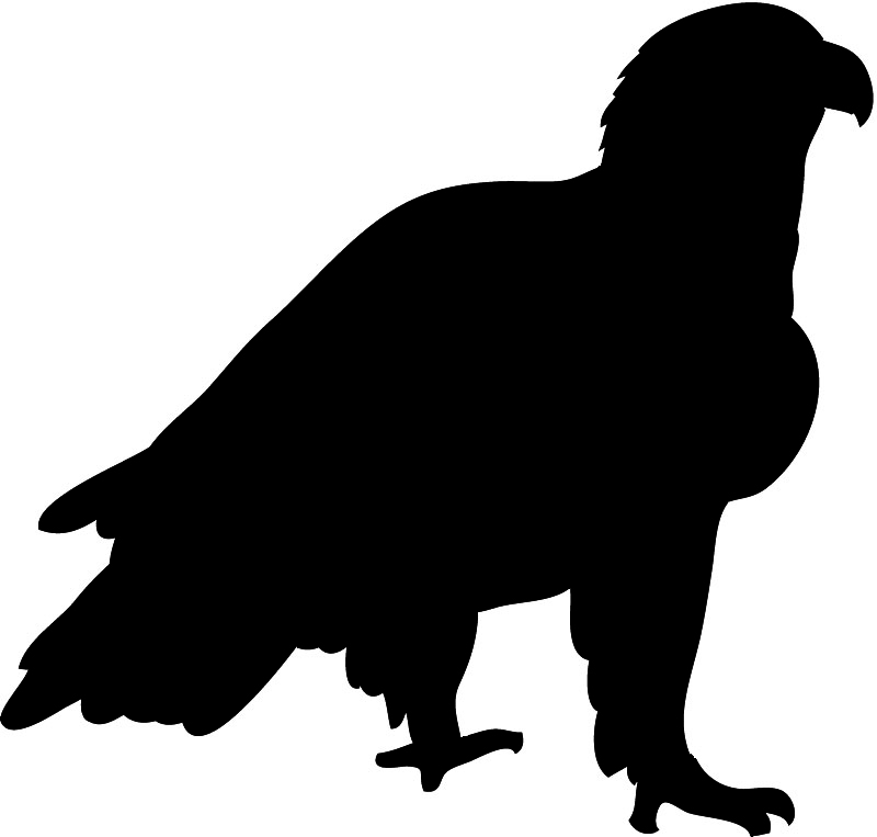 flying eagle clip art free download - photo #38