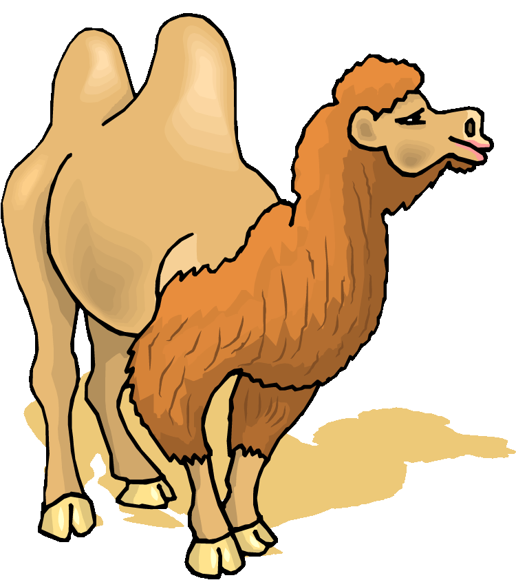 Search results for camel clipart pictures - Cliparting.com
