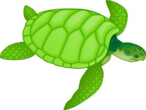 Green Sea Turtle Clip Art | Free Vector Download - Graphics,