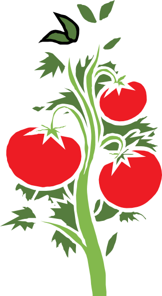 Clipart tomato plants