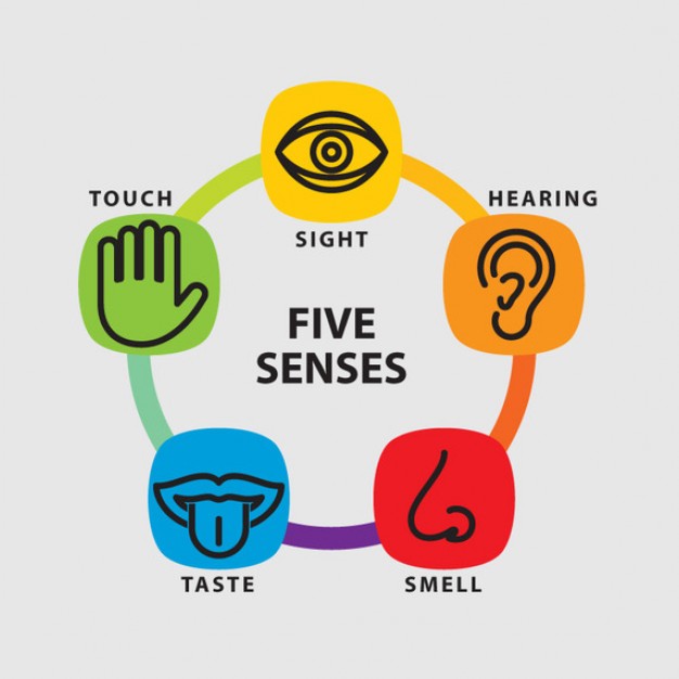Five senses icon set Vector | Free Download