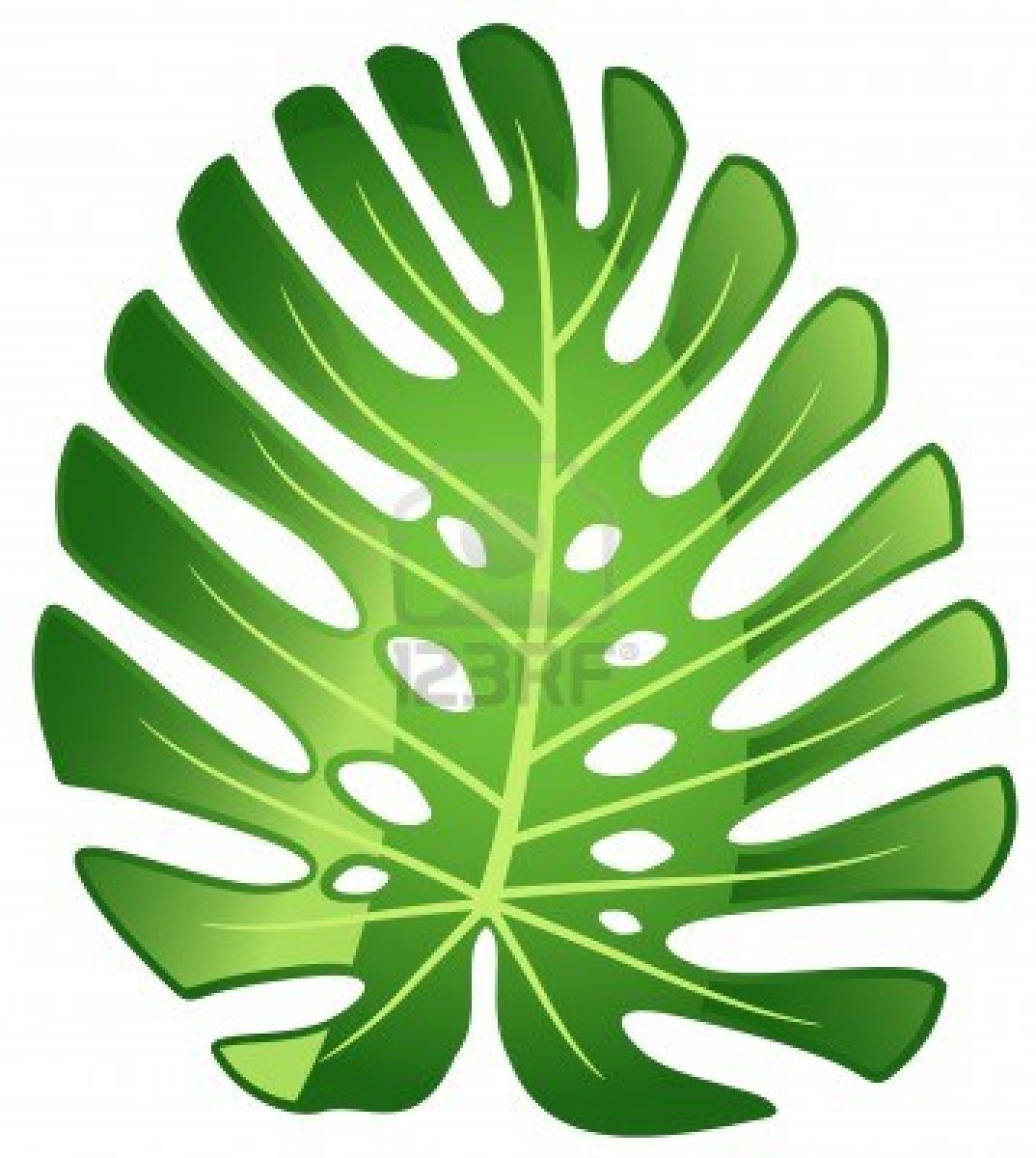 jungle leaves clip art - photo #21