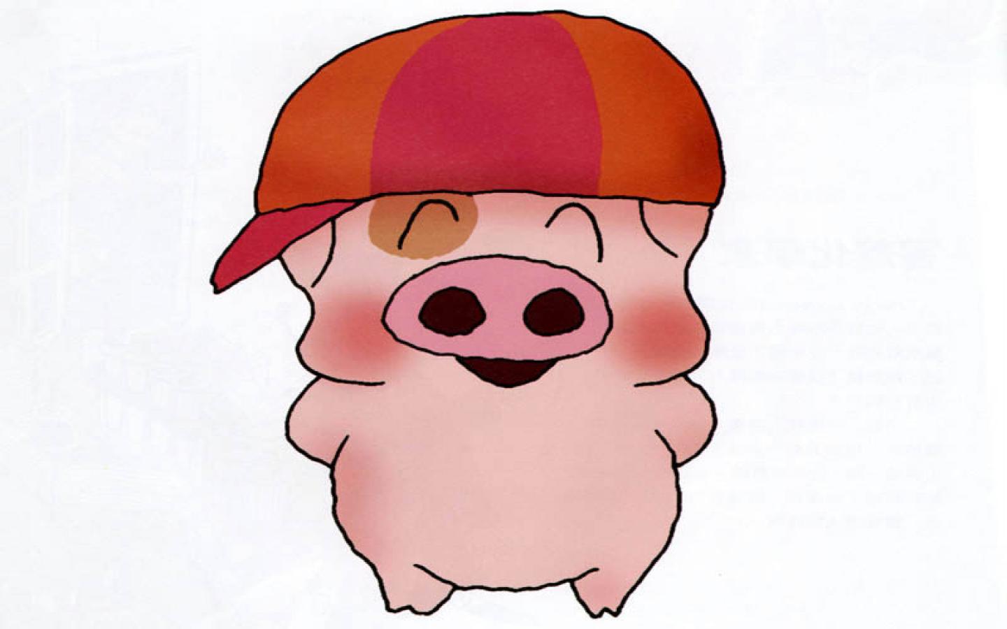 Cartoon Of Pig