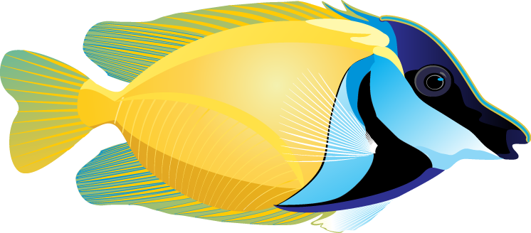 ocean fish clipart - photo #13