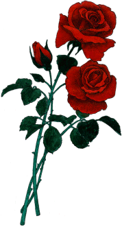 Two Hearts Design - Roses Clipart