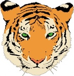 Tiger Vector - Download 100 Vectors (Page 1)