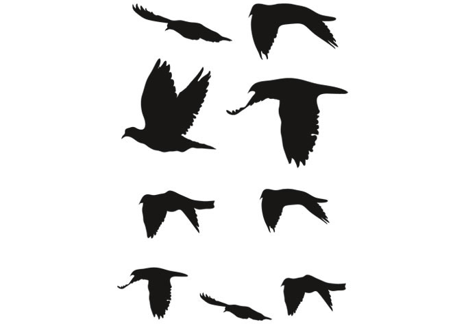 Flock of Birds Wall Decals - Classic Bird Vinyl Decor