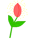 Animated Flower Pictures