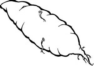 Yam clipart black and white