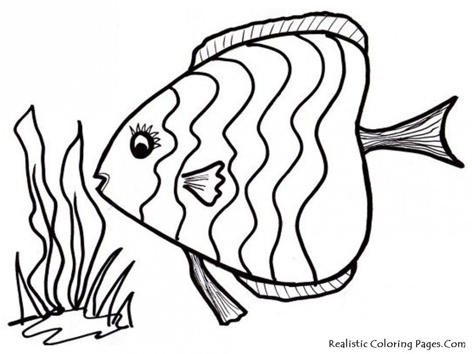Tropical Fish Coloring Pages - AZ Coloring Pages