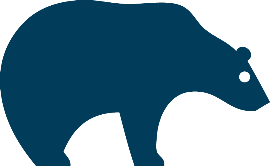 MTI Bear Logo