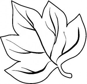 1000+ images about Leaves coloring page | Coloring ...