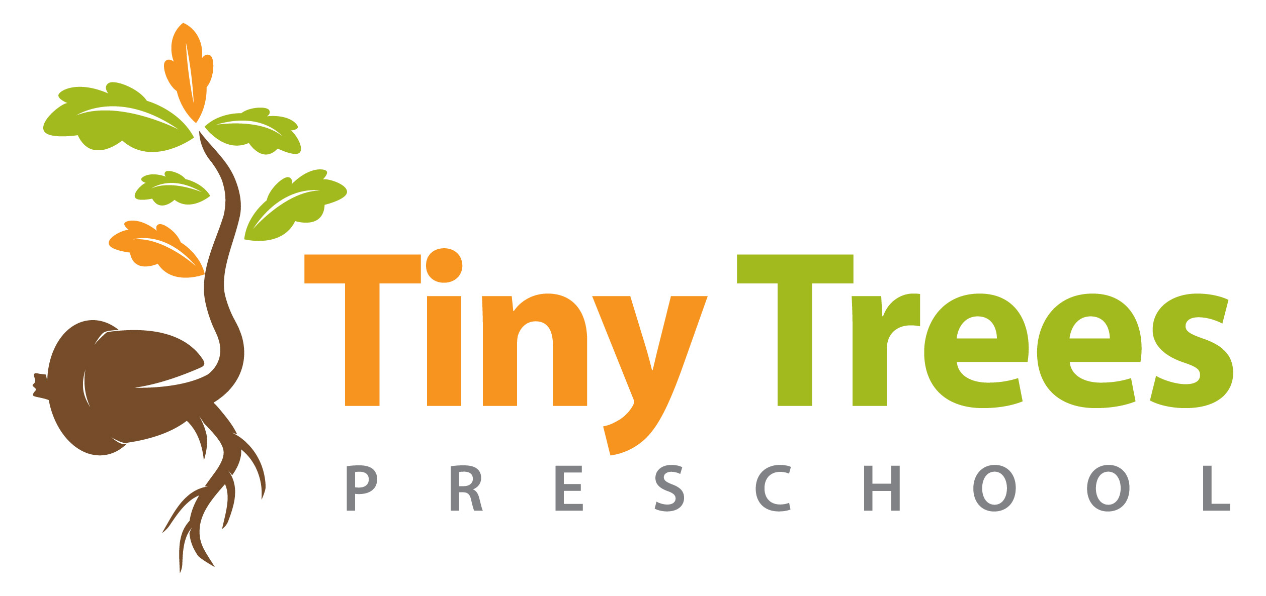 Tiny Trees Preschool - Affordable Seattle, Bellevue, & Kirkland ...
