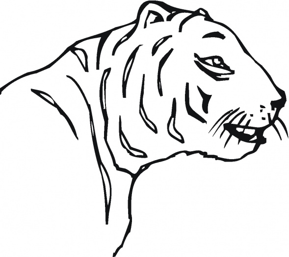 Tiger Head 4 coloring page | Super Coloring